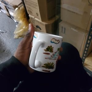 Ecuadorian cup